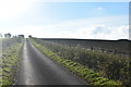 Lane to Low and High Farnham