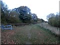 Footpath in South Moor Wood