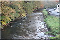 River Sirhowy, Station Avenue, Ynysddu