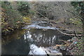 River Sirhowy, Ynysddu