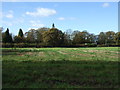 Farmland off Ashley Road