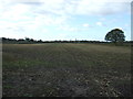 Stubble field off Mereheath Lane