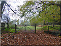 Field gate off Lyndhurst Road