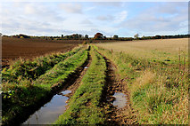 SE4143 : Farm Track heading West from Meadow Lane by Chris Heaton