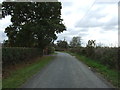 Back Lane near Backlane Farm