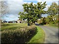 Bourne Road passing Bourne Farm