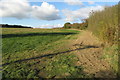 Footpath to Stowe Woods