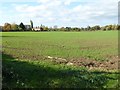 Farmland in Birlingham