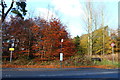 Bus Stop, Barony Road