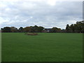 Grassland east of Nantwich Road (A530)