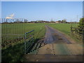 Path up to Tuckey Farm