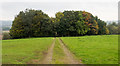 Track across field north of Llanellen