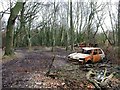 Burnt out cars, Coghurst Wood