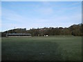 Cricket pitch, Hawick