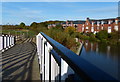 Footbridge across the entrance to Bosworth Marina