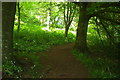 John Musgrave Heritage Trail approaching Great Hill