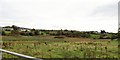 Inter-drumlin wetland alongside Billy