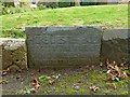 Belvoir Angel headstone, Scalford churchyard