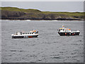 NM3235 : Tour Boats Off Staffa by David Dixon