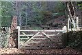 Entrance to Upper Sirhowy Valley Community Woodlands