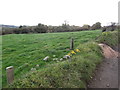 Pasture land on the south side of Commons School Road