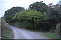 West Devon : Country Lane