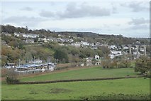 SX4268 : Calstock from Cotehele Woods by David Smith