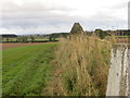 Field edge view from Swintonmill Triangulation Pillar