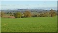 View to the Bromyard Downs