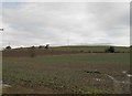NO4147 : Farmland at Douglastown by Douglas Nelson
