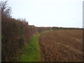 Edge of field off Drannack Mill Lane