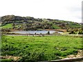 Grinan Lough from the Ryanstown Road