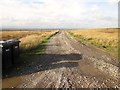 Track  to  Wake  Hill  Farm