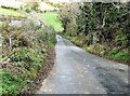 Burren Hill road descending eastwards into the Grinan Valley