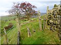 Stile near Busk