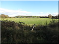 Farmland on the east side of the Grinan Lough Road