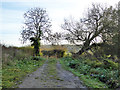 Bridleway east of road