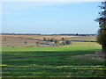 View north-east from Tackley Road