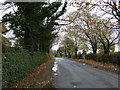 Bickerton Road near Ivy Farm