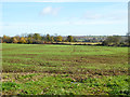 Farmland north of Middle Barton