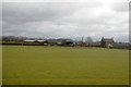 Field, Horse Croft Farm