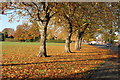 The National Field on Elvaston Lane, Alvaston, Derby