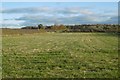 Field, Bannoch