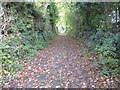 Bridleway in Pennsylvania, Exeter