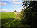 Field edge footpath east of Lambley