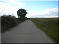 Farm road south west of Stoke Bardolph (1)