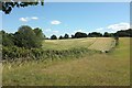 Farmland by Port Road