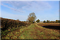 Bridleway heading North to Tancred Farms