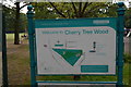 Information, Cherry Tree Wood