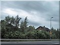 Houses in Owenvarragh Park, Andersonstown